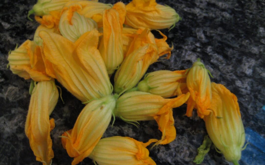 Foodie Friday: Zucchini blossoms, stuffed, battered and fried. Yum.