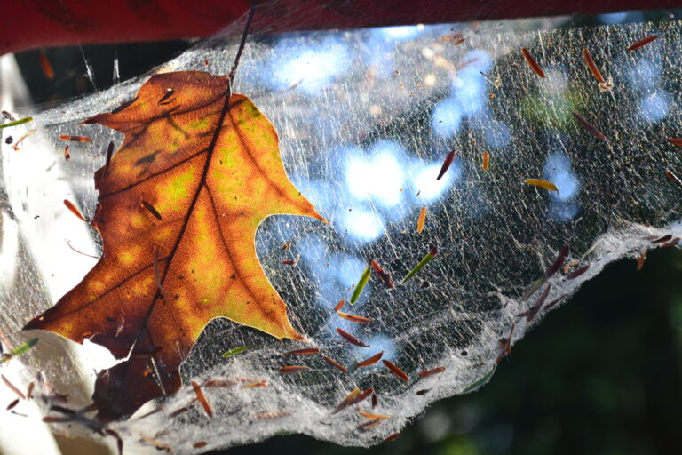 Less worry, more courage