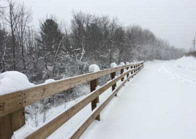 Week 5: Connecting with nature, even a snow storm