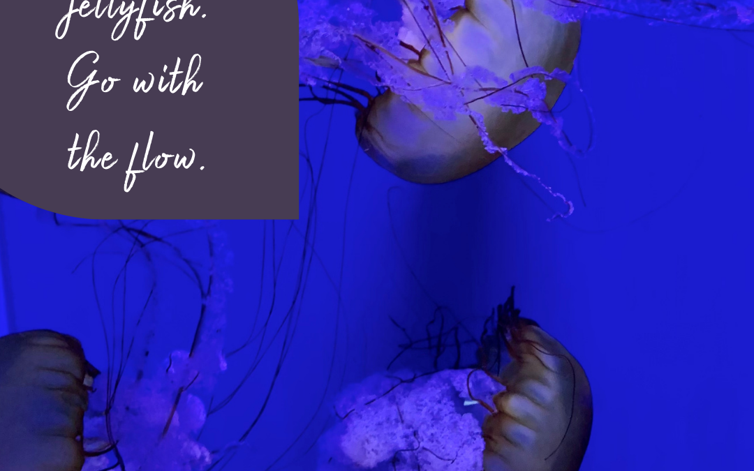 Be like a jellyfish. Go with the flow…