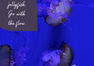 Be like a jellyfish. Go with the flow…