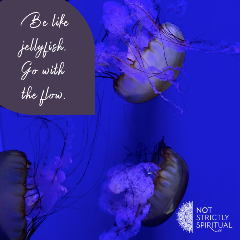 Be like a jellyfish. Go with the flow…