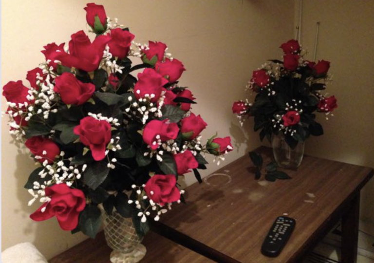 Close encounters of the saintly kind