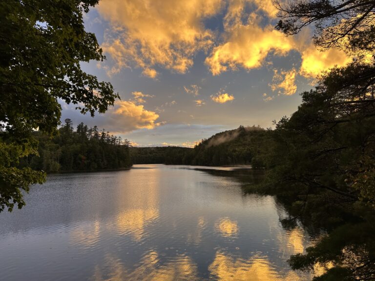 Don’t shut down wonder