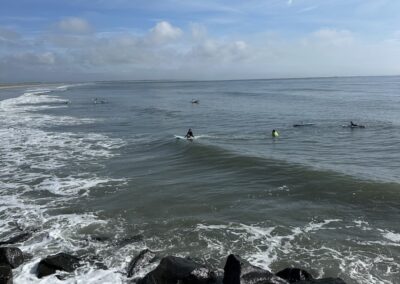 Learning to ride the waves
