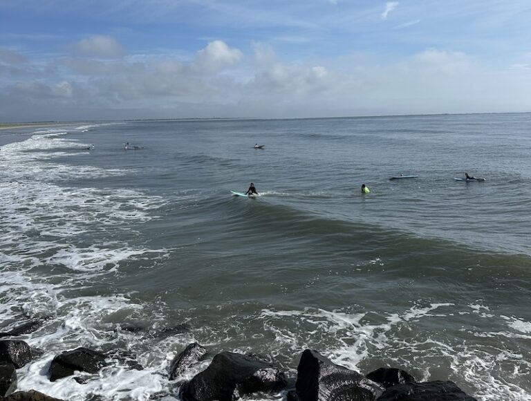 Learning to ride the waves