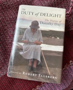 Duty of Delight book cover