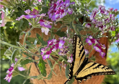 Building lives of devoted prayer, intentional community