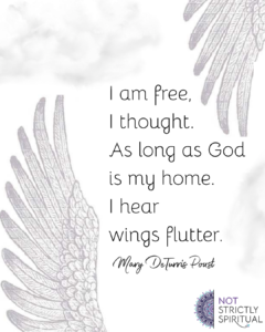 Angel haiku